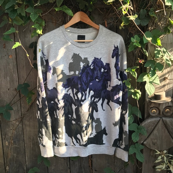 Zara Other - ZARA Horse Graphic Purple Grey Black Sweater L